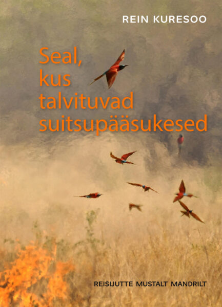 Hea giidiga Aafrikasse