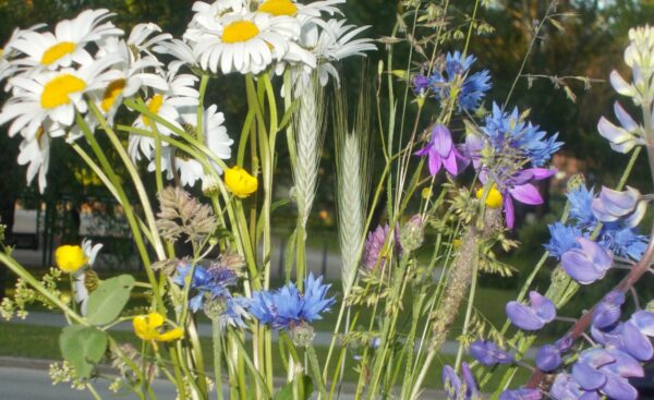 Toimetajalt: Kirju kimp