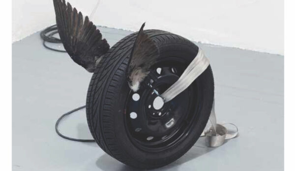 Toimetajalt: Meie igapäevast kriisi …