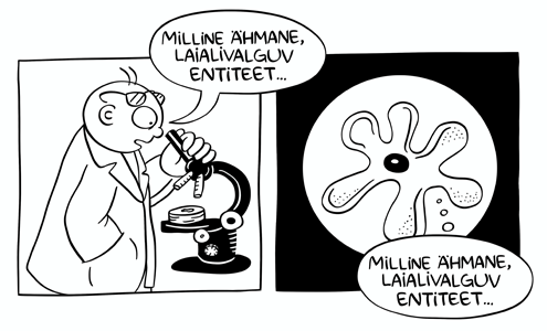 Vikerkaar 10-11 2024