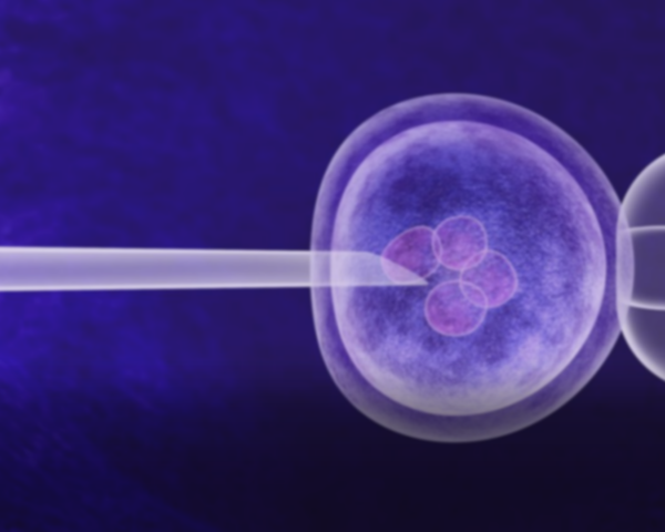 Kust lapsed tulevad?