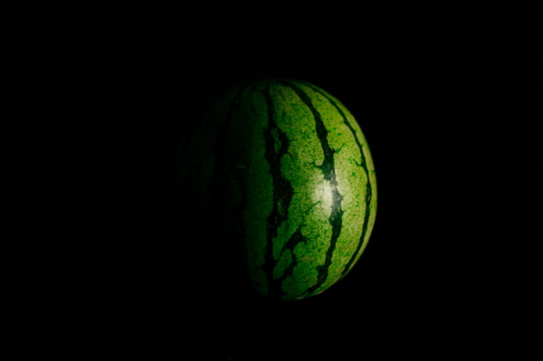 Hamasi laulik; Ristlemisi (sofisme ja käärimisi)