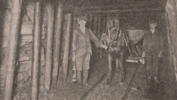 Põlevkivitööstusest Hugo Viirese käsikirjades