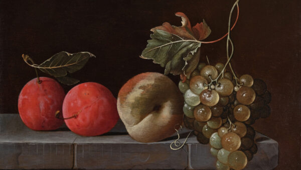 Miks toit ei saa ilus olla?